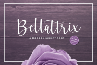 Bellattrix: A Powerful Tool for Modern Professionals