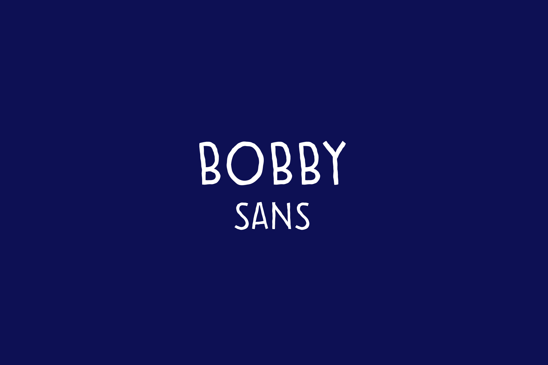 Bobby: A Practical Overview for Informed Decision-Making