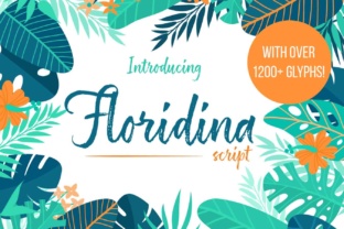 Floridina: Creative Possibilities