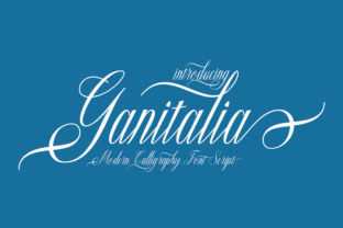 Ganitalia: A Strategic Tool for Better Decision-Making and Results