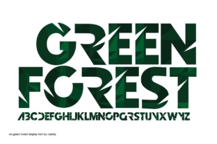 Green Forest: A Guide to Sustainable Living