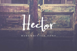 Hector: A Practical Guide to Real-World Applications
