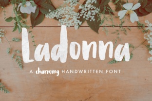 Ladonna: A Versatile Tool for All