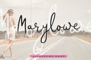 Marlowe: A Practical Tool for Real-World Problem Solving