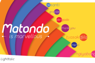Matondo Light Italic: A Practical Guide to Making the Right Choice
