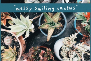 Messy Smiling Cactus: Embracing Imperfection in a World of Perfection
