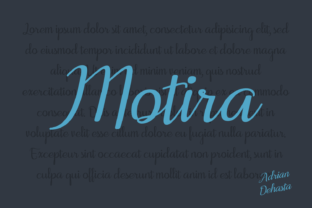 Motira: A Comprehensive Evaluation for Informed Decision-Making