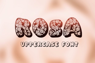 Rosa: A Practical Tool for Everyday Use