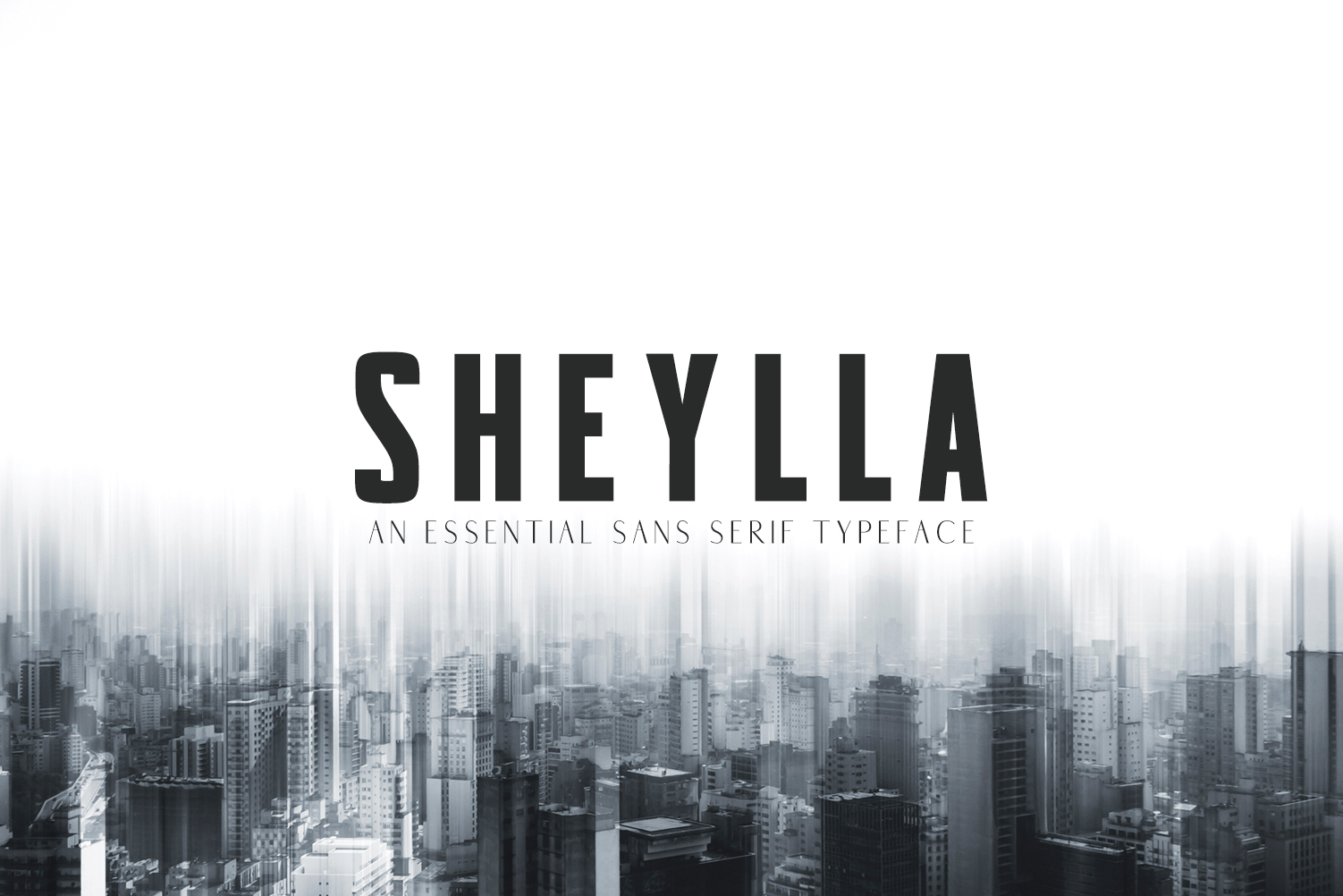 Sheylla: A Practical Guide to Making the Right Choices