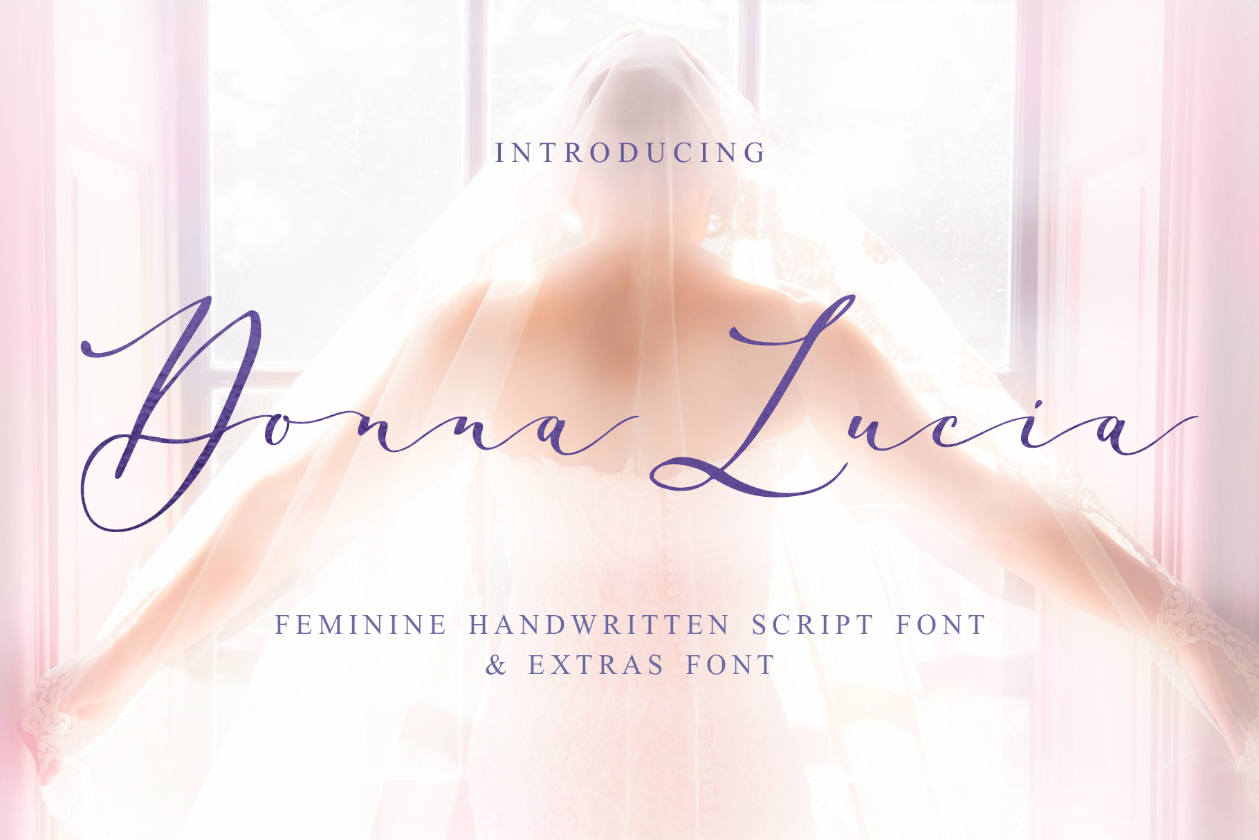 Understanding Donna Lucia: A Comprehensive Evaluation