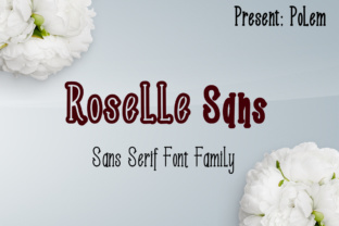 Why Roselle Sans is a Game-Changer for Modern Design